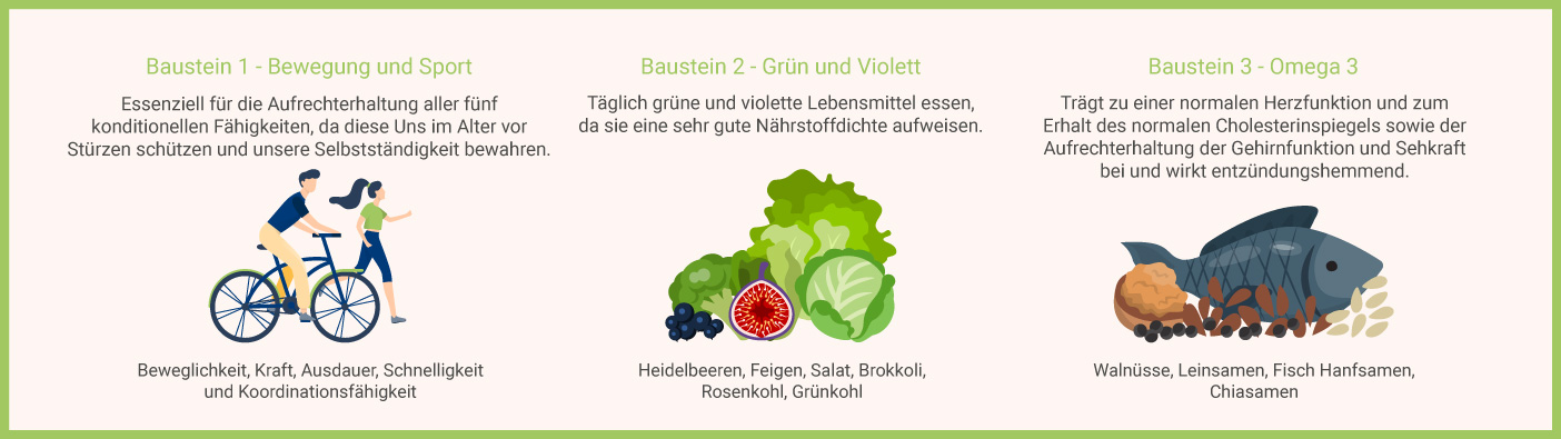 Bausteine der Longevity Ernährung