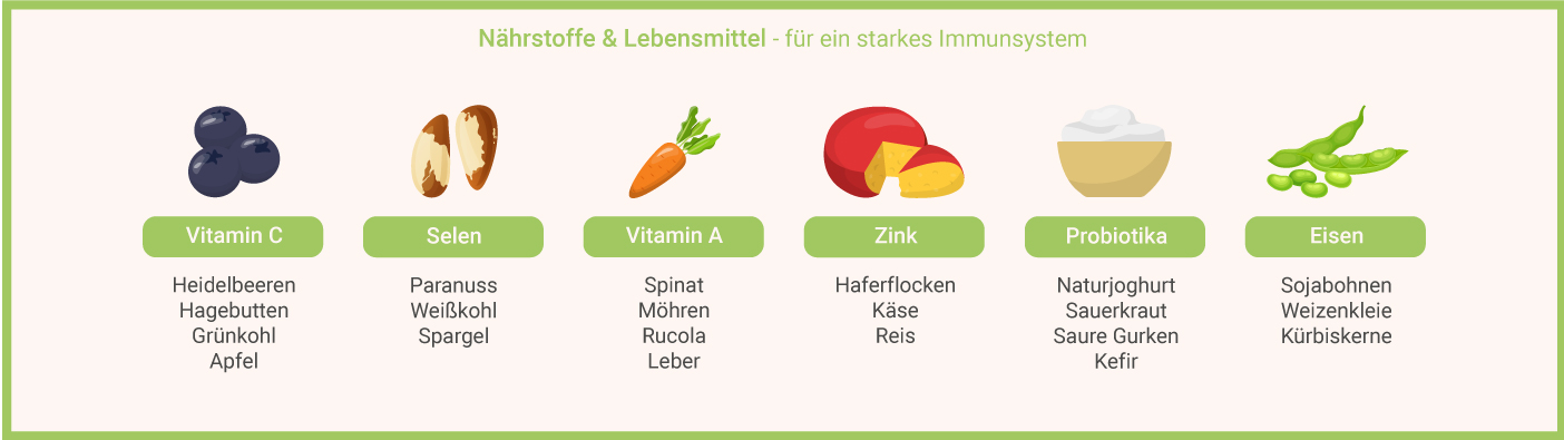 Lebensmittel, um Erkältungen vorzubeugen 