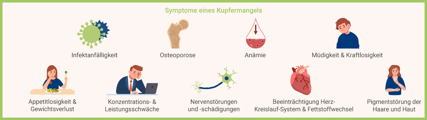 Symptome Kupfermangel