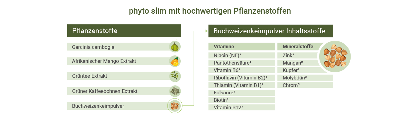 phyto slim - Pflanzenextrakte